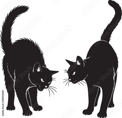 Two black cats facing each other with raised tails and whiskers visible also transparent background