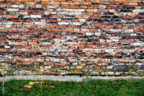 Old weathered brick wall with moss and grass base texture