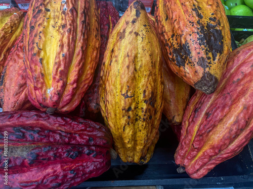 Full frame photo of cocoa fruit
