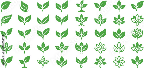 Collection of diverse green leaf illustrations on white background