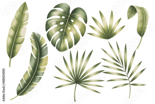 Tropical leaf collection painted in soft hand drawn watercolor style.