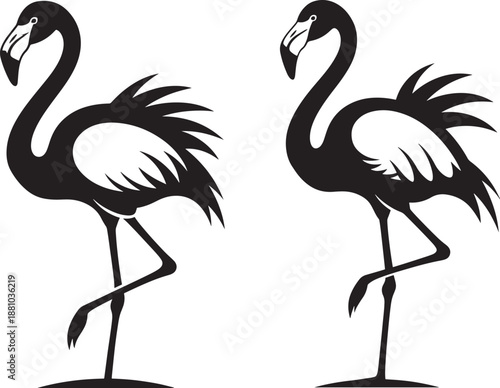Elegant Black and White Stylized Illustrations of Flamingos Standing Gracefully on One Leg for Tropical Themed Designs