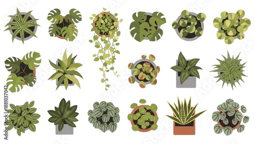 Flat Vector Top View Indoor Potted Plant Symbols for Interior Architecture Plans