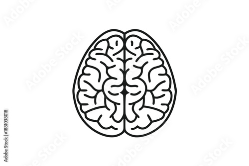 Sweet Potato Interior Pattern Macro Detail Black and White Vector