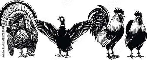 Farm Poultry Birds Silhouette Set with Turkey, Goose, Rooster and Hen, Vintage Engraved Style Vector Illustration