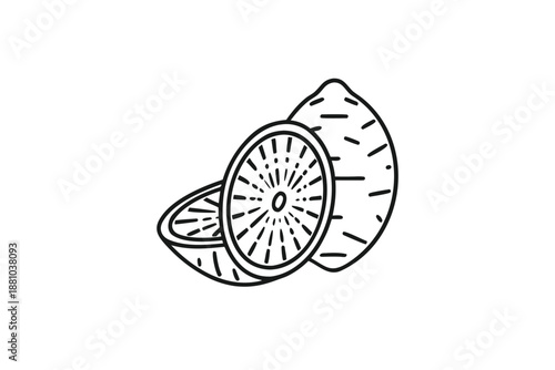 Exposed Sweet Potato Slice Macro Texture Black and White Vector Art