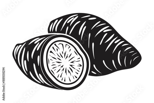 Sweet Potato Cross Section Macro Detail Black and White Illustration