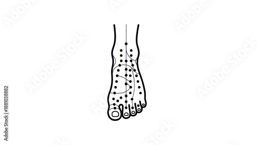 Acupressure Points on Human Foot Vector