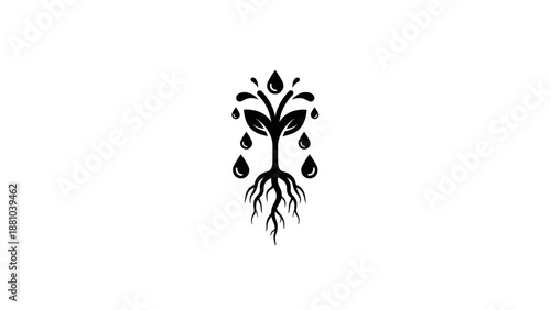 Stylized plant with roots and water drops