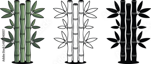 Bamboo stalks silhouette & Outline and illustration set isolated on transparent background 