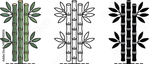 Bamboo stalks silhouette & Outline and illustration set isolated on transparent background 