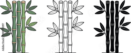 Bamboo stalks silhouette & Outline and illustration set isolated on transparent background 