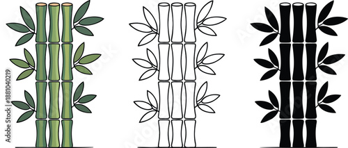 Bamboo stalks silhouette & Outline and illustration set isolated on transparent background 