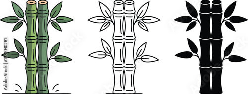 Bamboo stalks silhouette & Outline and illustration set isolated on transparent background 