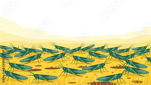 A vector illustration of a large group of green grasshoppers in a dry, yellow field with brown dirt and sparse grass.