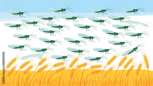 A vector illustration of a swarm of mosquitoes flying over a field of wheat