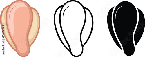 Chicken breast silhouette & Outline and illustration set isolated on transparent background