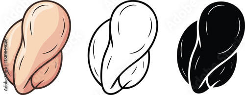 Chicken breast silhouette & Outline and illustration set isolated on transparent background