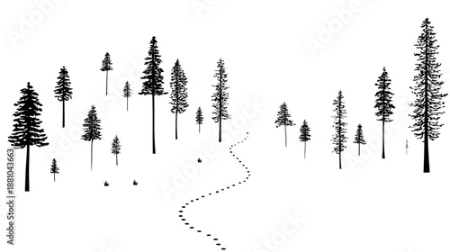 Black and white illustration of a serene evergreen forest with a winding path and footprints, natural outdoor journey concept