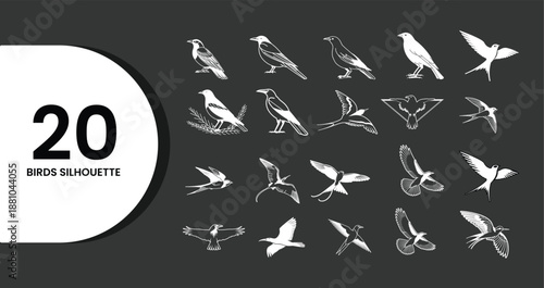20 Hand-Drawn Bird Silhouettes Collection