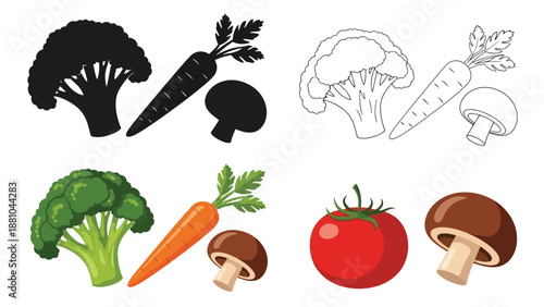 Illustrations of broccoli carrots mushrooms tomatoes and cauliflower in different styles
