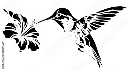 Black and White Vector Silhouette of a Hummingbird Feeding Nectar from a Tropical Hibiscus Flower. Elegant Nature Illustration.