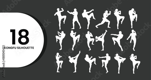 Dynamic Kung Fu Fighter Silhouettes Collection