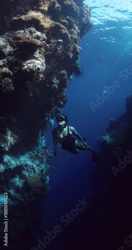 Wallpaper Mural Freediver swims in blue ocean. Woman free diving in near vertical coral rocks Torontodigital.ca