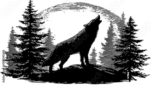 Majestic lone wolf silhouette howling at the full moon in a dense pine forest wilderness, black and white illustration.