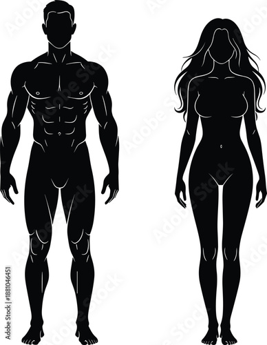 Silhouette of muscular athletic man and fit woman standing together, human anatomy symbols, fitness wellness health concept, isolated on white background, body proportions.