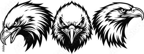 Three angry eagle heads with sharp beaks and feathers in black and white illustration .