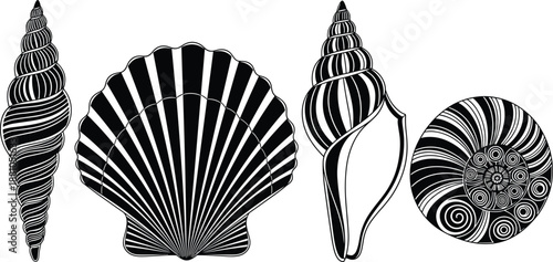 Seashell silhouette collection with spiral conch scallop and nautilus shells black and white vector illustration set