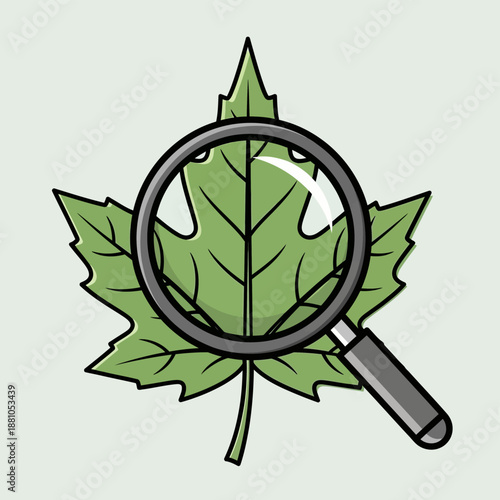 Magnifying Glass Examining Green Leaf Illustration.