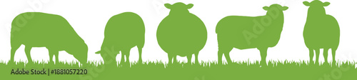 Green silhouettes of sheep and a pig standing on grass side by side in a row outdoors