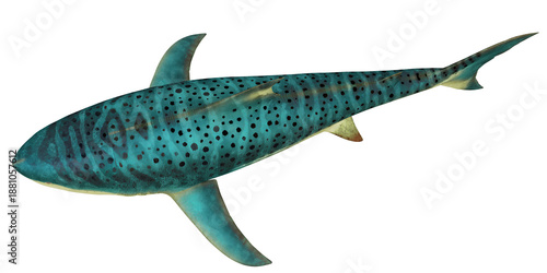 Canvas-taulu Digital rendering of a Striped Catshark.