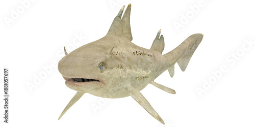 Realistic 3D render of a prehistoric shark