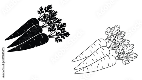 black and white carrot illustration with leafy greens