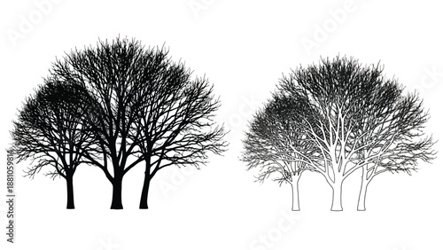 black and white trees with bare branches on a plain background