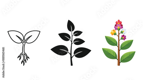 Set of three plant growth stages icons seedling with roots, mature leafy stem, and flowering plant illustration