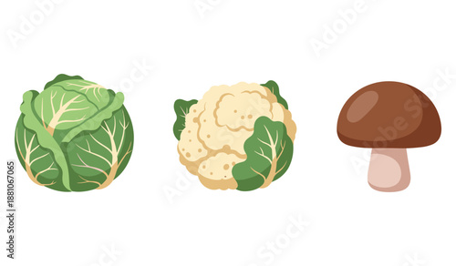 Cabbage, cauliflower, and mushroom: fresh vegetables on display