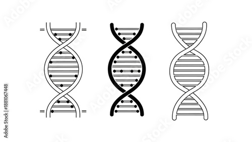Three stylized black and white dna double helix illustrations presented side by side on a clean white background