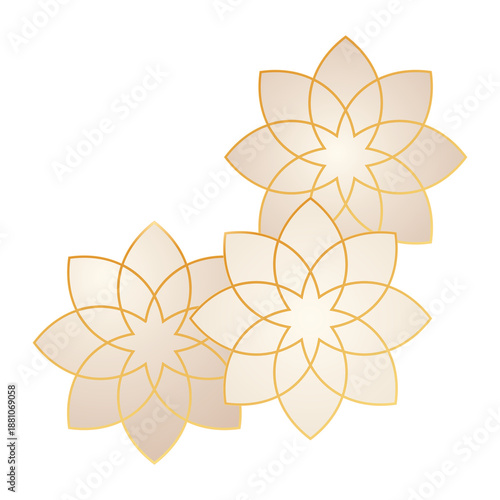 Golden flower shapes on white background transparent background