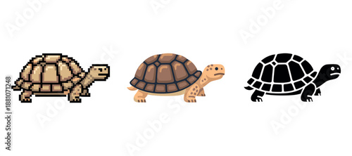 Pixelated, illustrated, and silhouette tortoise designs on white background