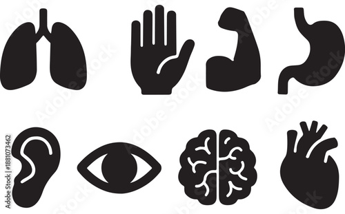 Medical & Human Organs Icons