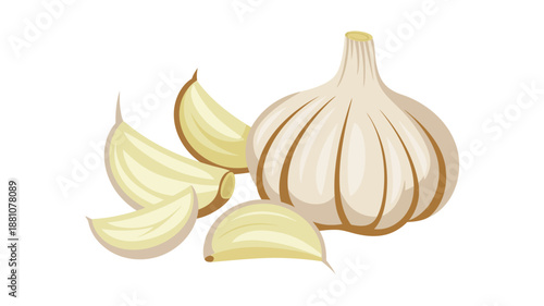 Fresh garlic bulb and cloves arranged for culinary use