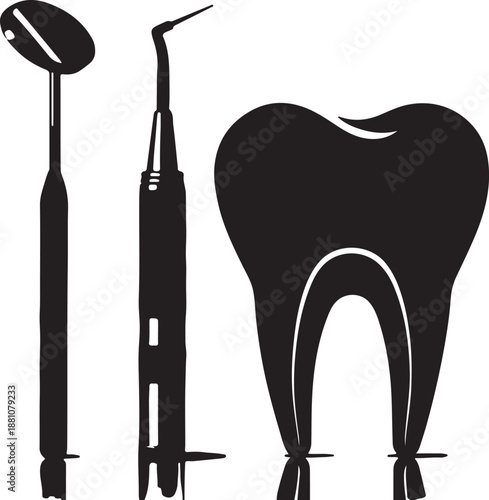 Dental tools and tooth model for oral health professionals