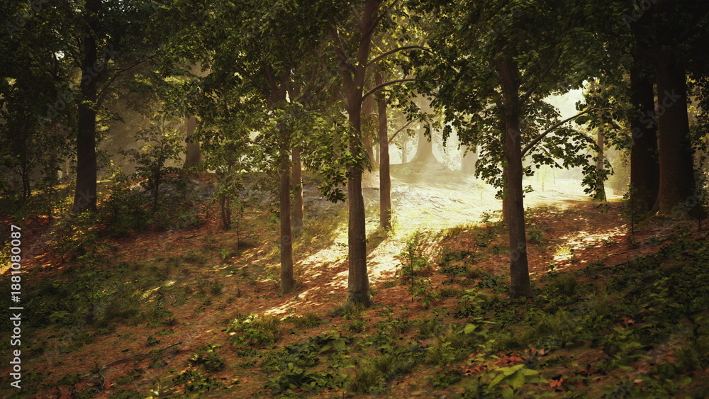 Fototapeta premium Soft sunlight illuminates the tranquil forest as trees stand tall. The gentle glow creates a magical atmosphere, inviting exploration and connection with natures beauty.