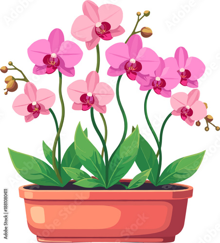 Pink orchid flowers in pot, elegant phalaenopsis houseplant collection, tropical floral decor illustration for interior, spa, wedding and botanical design