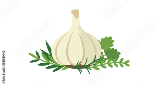 Fresh garlic bulb with aromatic rosemary and parsley herbs