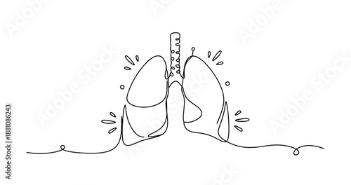 Continuous line drawing of human lungs with bronchi, no editable stroke